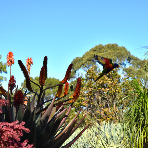 Meet your Posher, Eileen - Picture 1 of 1